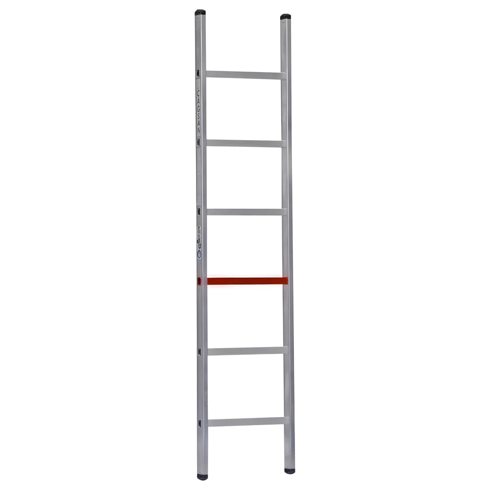 Single Section Ladder 3m 10 Steps - Cagsan