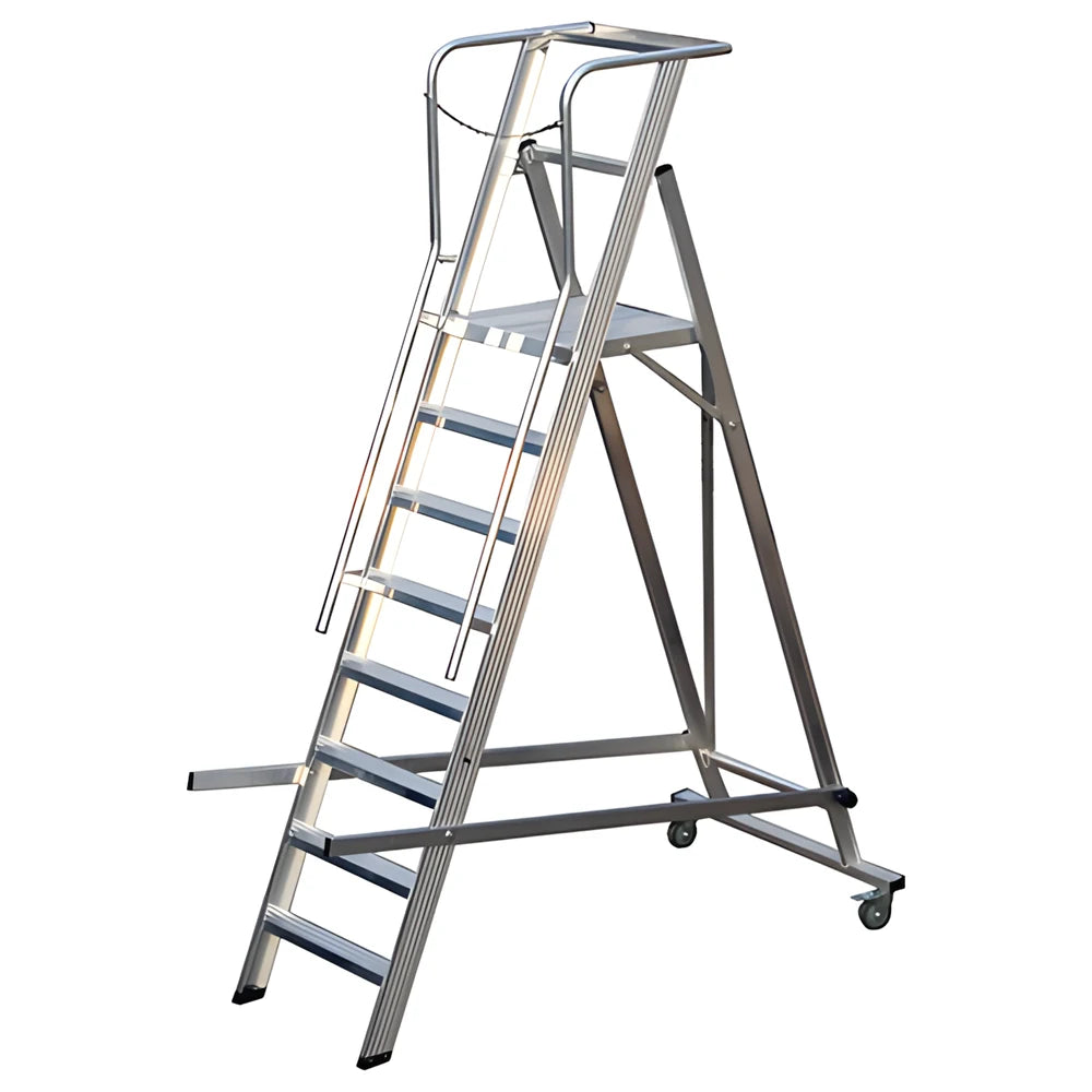 Warehouse Ladder 12 Steps