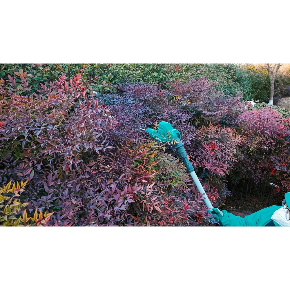 Cordless Pole Hedge Trimmer 20V (Tool Only) - TOTAL